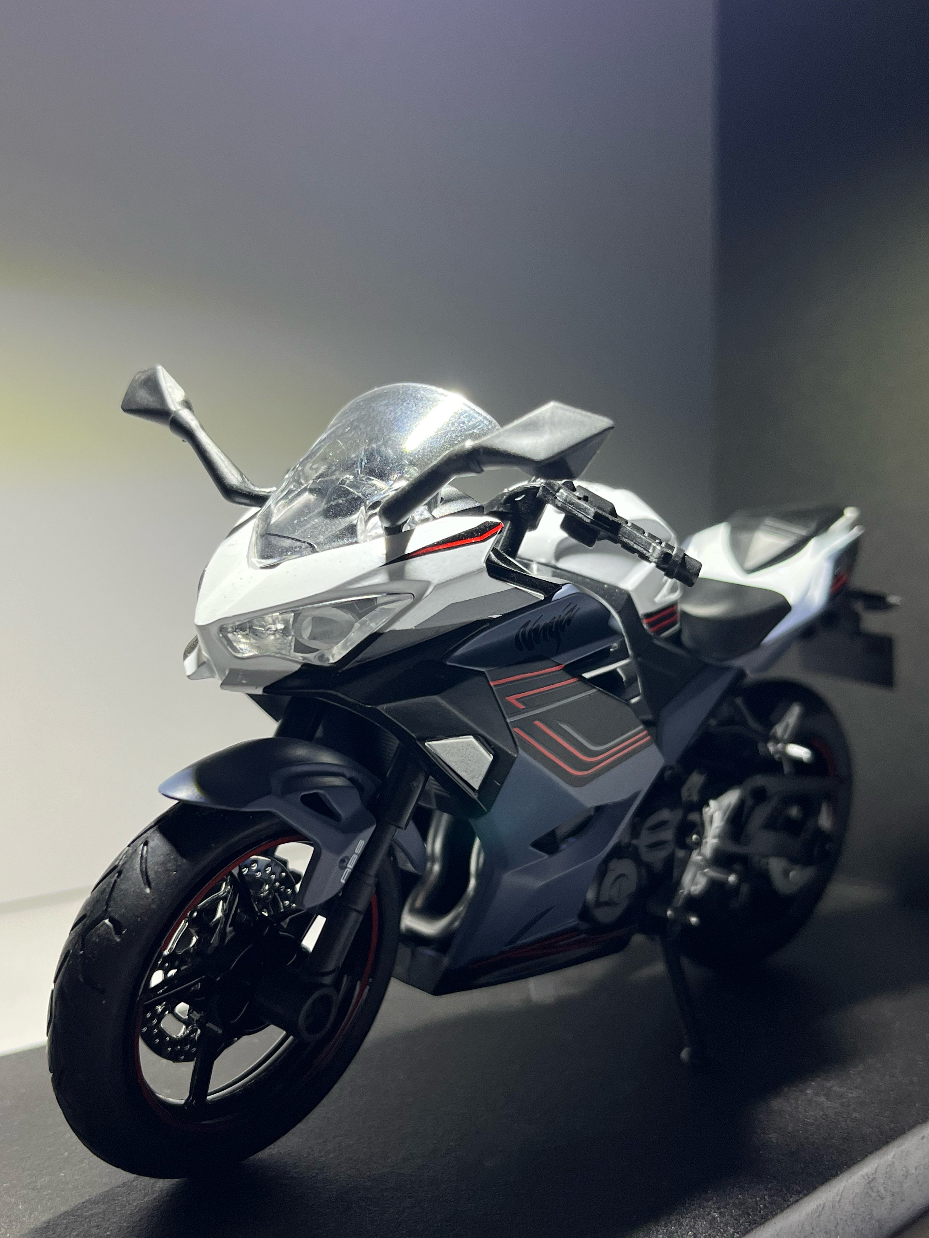 Kawasaki Ninja Spotlight Frame